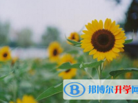 遂寧2022年查詢中考成績上哪個(gè)網(wǎng)站