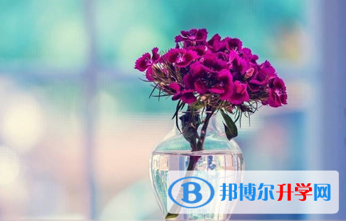 遂寧2022年怎樣查詢中考藝體考試成績(jī)