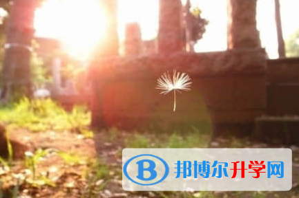 內(nèi)江2022年怎樣從網(wǎng)上查詢中考成績(jī)