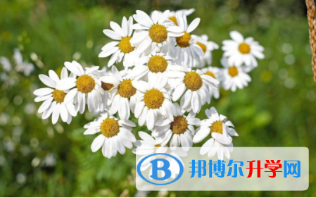 2022年內(nèi)江中考多久出成績(jī)