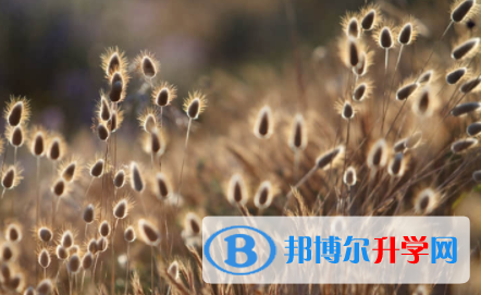 2022年內(nèi)江中考后幾天出成績(jī)