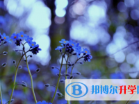 2022年內(nèi)江各個學校中考錄取線