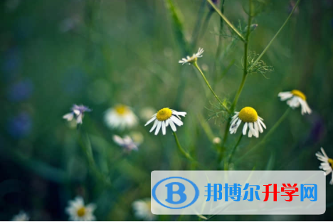 2022年內(nèi)江近幾年中考重點(diǎn)線