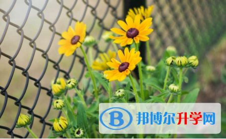 2022年內(nèi)江中考成績(jī)?cè)鯓硬樵? width=