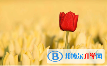 內江2022年中考特長生招生簡章
