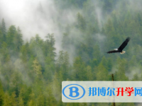 內(nèi)江2022年中考線預測