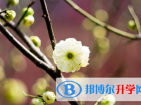 內(nèi)江2022年中考預估重點線
