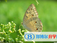 內江2022年中考沒考好怎么辦