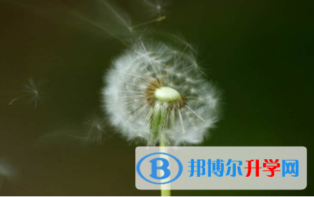 內江2022年怎么寫中考自薦書