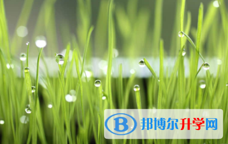 內(nèi)江2022年如果中考沒考上讀什么好