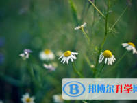 內(nèi)江2022年孩子因病錯(cuò)過(guò)中考怎么辦