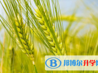 內(nèi)江2022年孩子中考沒(méi)考好如何安慰
