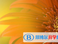 內(nèi)江2022年中考報(bào)名志愿