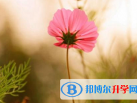 樂山2022年網(wǎng)上查詢中考成績?cè)趺床樵? /><b>樂山2022年網(wǎng)上查詢中考成績?cè)趺床樵?/b><span>2021-09-17 11:08</span><p>中考后的成績公布一般實(shí)在15天左右的樣子，同學(xué)們也可以登錄學(xué)校當(dāng)?shù)亟逃志W(wǎng)站進(jìn)行成績查詢。中考其實(shí)說白了就是在為高中挑選有</p></a></h3></li>
<li><h3><a href=