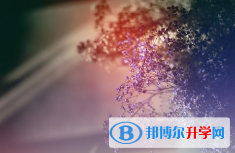 樂(lè)山2022年中考查詢成績(jī)