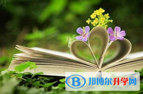樂山2022年中考查詢系統