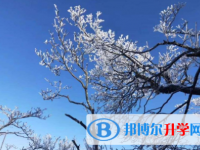樂山2022年中考成績?nèi)绾尾樵? /><b>樂山2022年中考成績?nèi)绾尾樵?/b><span>2021-09-17 15:46</span><p>登陸當(dāng)?shù)亟逃块T的中考成績查詢網(wǎng)站查詢(教育網(wǎng)等等)。各個地市不一樣，考試可以輸入自己所在地百度一下，即可輕松查詢成績。要</p></a></h3></li>
<li><h3><a href=