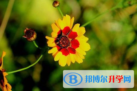樂(lè)山2022年中考報(bào)考攻略
