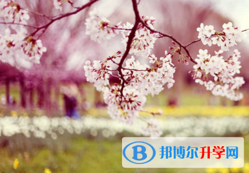 樂(lè)山2022年中考查詢系統(tǒng)的密碼記不到了怎么辦