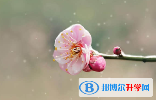 樂山2022年中考成績出來了嗎