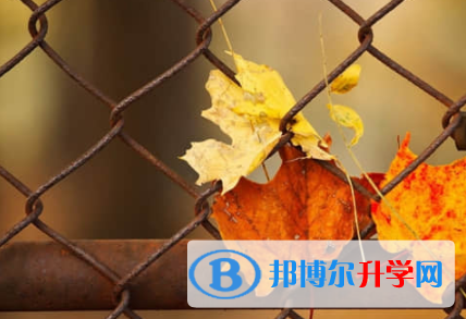 樂山2022年中考招生網(wǎng)絡(luò)應(yīng)用服務(wù)平臺(tái)