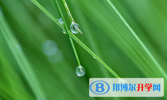樂(lè)山2022年中考準(zhǔn)考證信息
