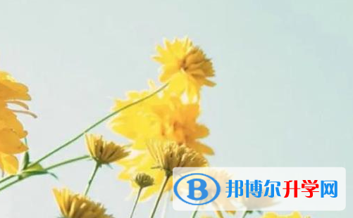 樂山2022年怎樣中考正常發(fā)揮