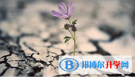 樂(lè)山2022年中考志愿可以填幾個(gè)