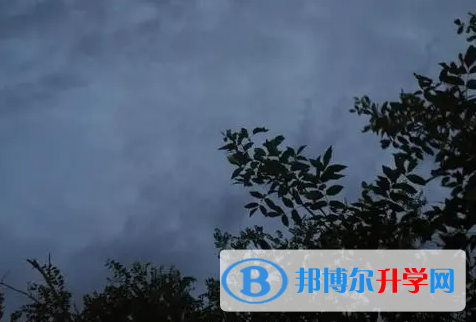 南充2022年網上查詢中考成績怎么查詢