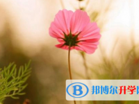 南充2022年中考成績查詢網(wǎng)址