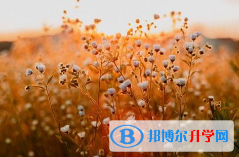 南充2022年中考多久出成績(jī)