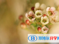 南充2022年中考考生人數