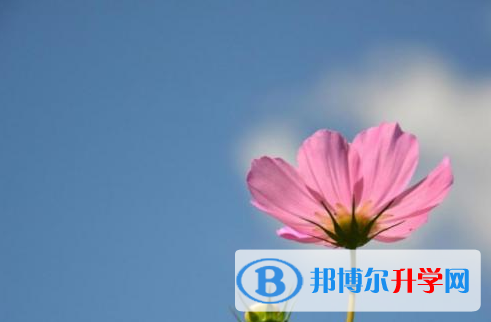 南充2022年中考可以報哪些學(xué)校