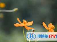 南充2022年中考填志愿統(tǒng)招和調劑