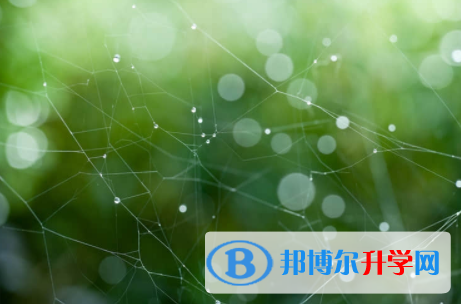 南充2022年中考調招
