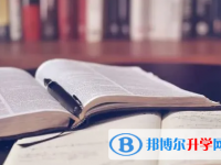 南充2022年中考網(wǎng)絡服務平臺