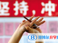 南充2022年中考網(wǎng)絡應用服務平臺