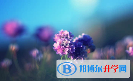 南充2022年中考網中考查詢