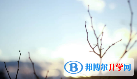 南充2022年中考志愿官網