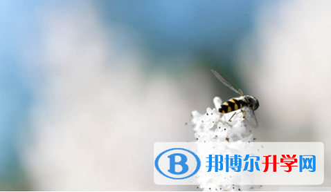 南充2022年中考的統招和調劑說明