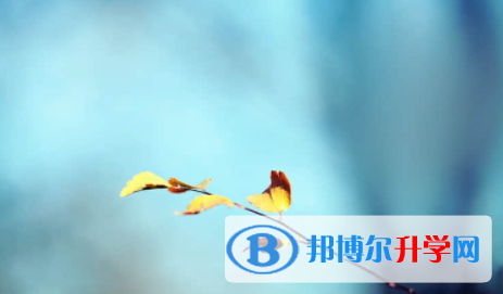 南充2022年中考體考標準