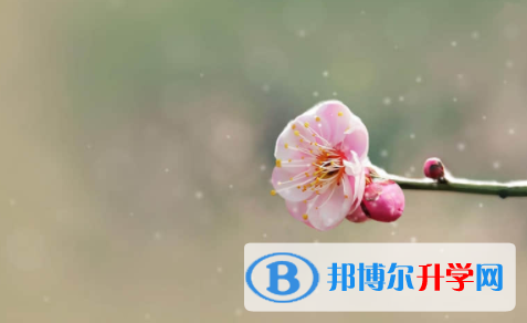 南充2022年中考志愿查詢(xún)