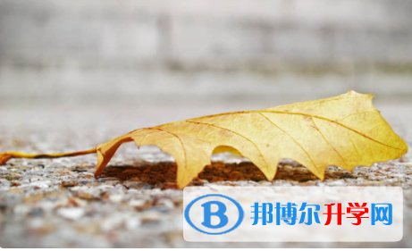 眉山2022年查詢(xún)中考成績(jī)上哪個(gè)網(wǎng)站