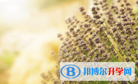眉山2022年中考網(wǎng)絡(luò)應(yīng)用服務(wù)平臺成績查詢