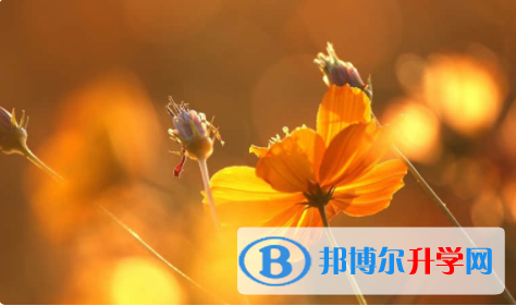 眉山2022年中考報志愿時間