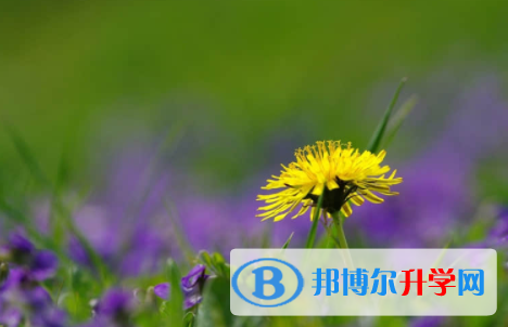 眉山2022年中考成績(jī)好久出來(lái)