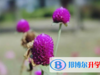 眉山2022年中考有不有補(bǔ)錄