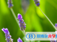 眉山2022年中考報名是哪個網站