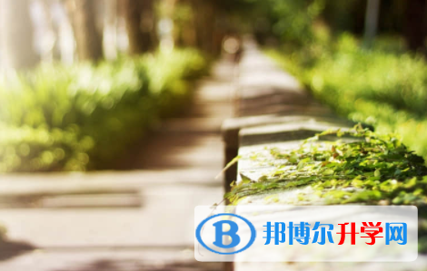 眉山2021年中考報(bào)名志愿