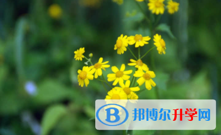 眉山2022年中考志愿填報(bào)